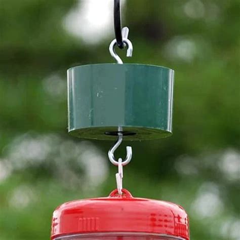 how to keep ants out of a hummingbird feeder 5