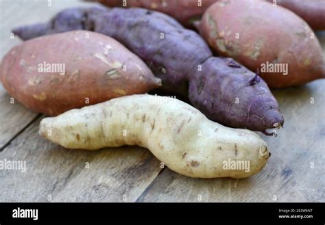 Sweet Potatoes Ipomoea Batatas Batata Potato Stock Photo Alamy