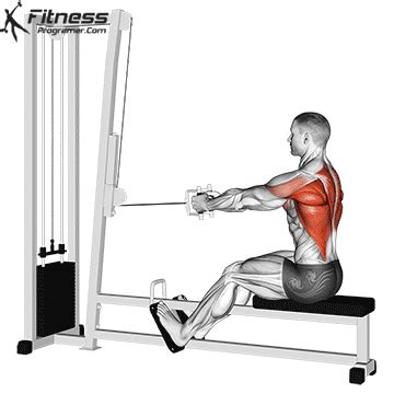 Close Grip Cable Row 1 in 2023 | Good back workouts, Exercise, Cable row