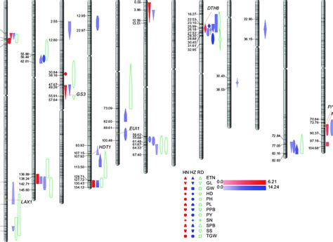 The Positions Of Qtls Located On Each Chromosome The Number On The