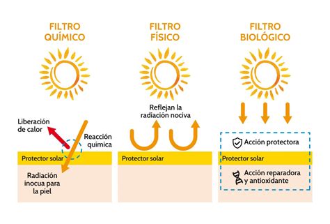 Cómo escoger un buen protector solar para perros y gatos