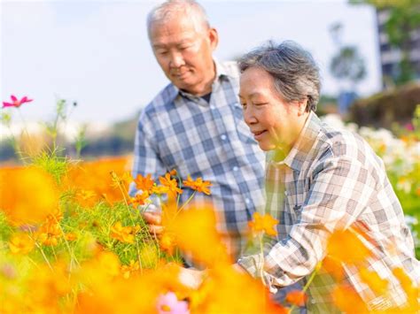 失智嬤宅家好憂鬱，原因竟是「好無聊」！醫曝「規律生活」是最佳療法，4方向安排日常活動 幸福熟齡