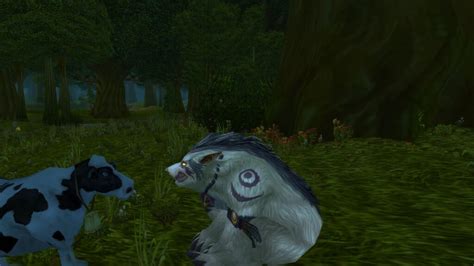 Pve Feral Tank Druid Pre Raid Best In Slot Bis Cataclysm Classic