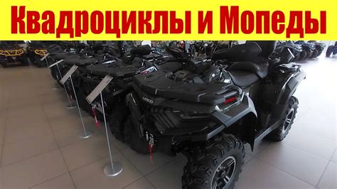КВАДРОЦИКЛЫ И МОПЕДЫ 🛵🛵🛵. Сколько стоят - YouTube