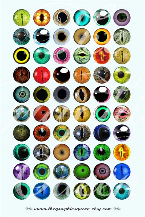 Animal Eyes 12 Mm Digital Collage Sheet Instant Downloads 12 Etsy