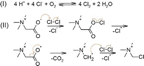 Scheme 1 Proposed Decomposition Mechanism Of The IL Hbet NTf 2 In