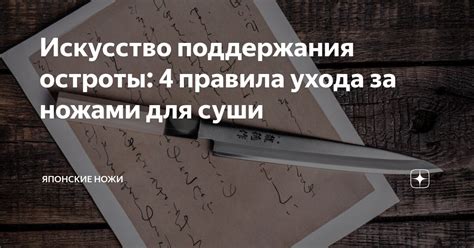 Искусство поддержания остроты: 4 правила ухода за ножами для суши ...