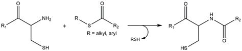 Native Chemical Ligation Ncl This Reaction Proceeds Through Download Scientific Diagram