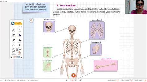 ORTA OKUL 6 SINIF FEN BİLİMLERİ KEMİKLER VE KIKIRDAK KONU ANLATIMI