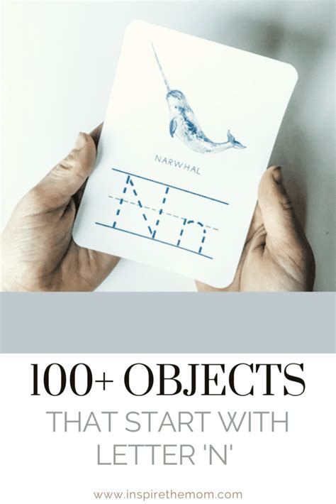 100+ Objects That Start with N - Alphabet Items A-Z
