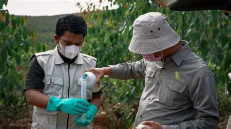 Ciptakan Pertanian Berkelanjutan Pandawa Agri Indonesia Hadirkan