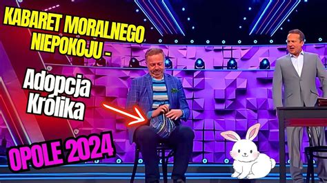 Kabareton Opole 2024 KABARET MORALNEGO NIEPOKOJU Adopcja Królika