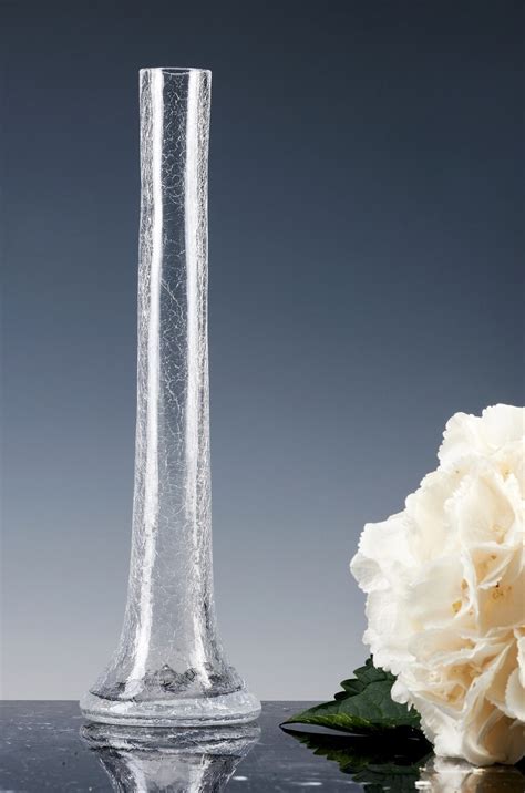 15 Elegant Very Large Glass Vase 2024