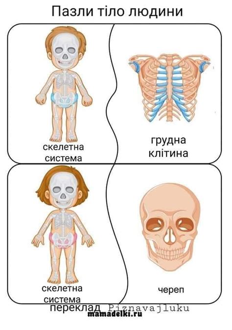 Pin by Оксана Гришнюк on 5 чуттів | Teacher notebook, Life science, Kids
