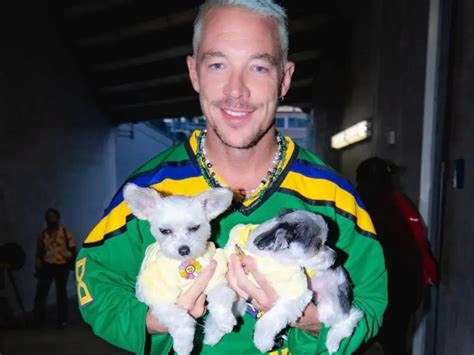 Diplo Confiesa Que Tuvo Sexo Con Hombre Pero Niega Ser Gay