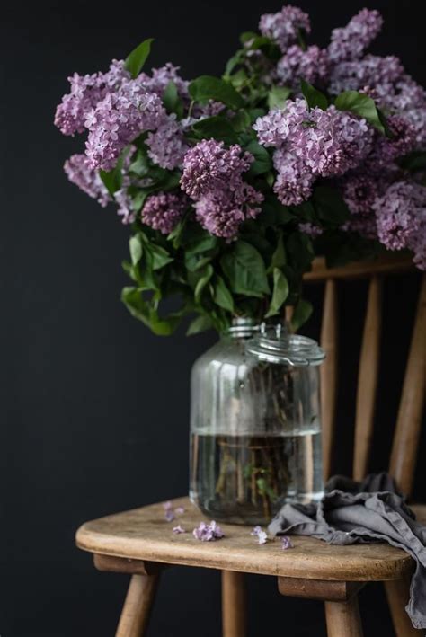 Pin von 𝐴𝑛𝑢𝑘 𝐴𝑏𝑎𝑧𝑎𝑑𝑧𝑒 auf Flowers | Frühlingsblumen, Lila blüten, Flieder