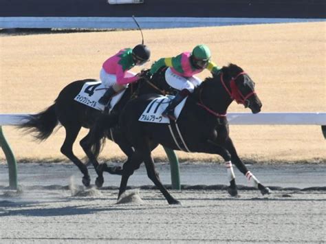 川村禎彦調教師、jra通算400勝達成 競馬ニュース Netkeiba