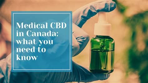 Medical Cbd In Canada What You Need To Know Tantus Health Co