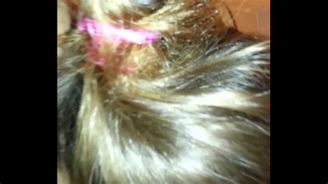 Chupando Videos Page XVIDEOS