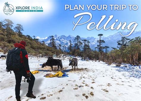 plan  trip  pelling