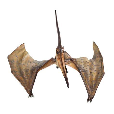 Real Pteranodon Dinosaur