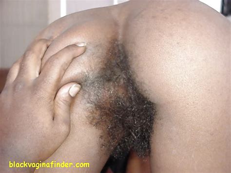 Hairy Black Pussy Porn Pictures XXX Photos Sex Images 919836 PICTOA