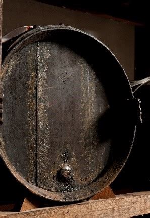 Madre Dell Aceto Balsamico Ecco Tutte Le Accezioni