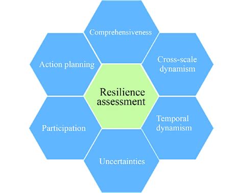 Criteria For Evaluation Of Resilience Assessment Tools Adapted From