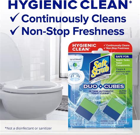 8 Best Toilet Tank Cleaner 2023 Hummingbirds Plus