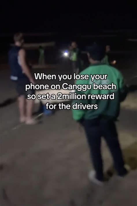 What to do after finding a lost pet: A guide to local resources 27