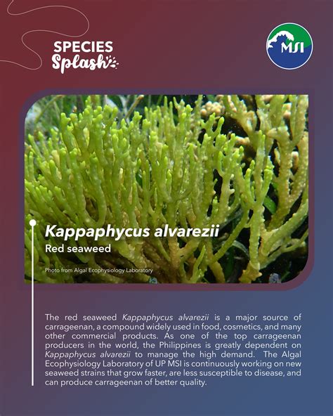 Print photo service quality varies greatly between the top retailers 33