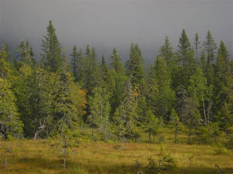 Åtgärder för värdefull natur skapade drygt 1 100 jobb - Utsidan