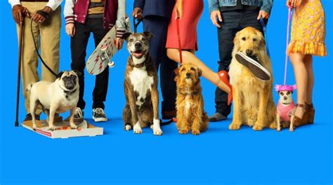 Meet The Dogs And Dog Loving Stars Of ‘dog Days Movie Paws