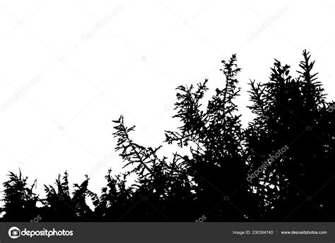 Realistic Silhouette Bush Bare Branches Vector Illustration Stock