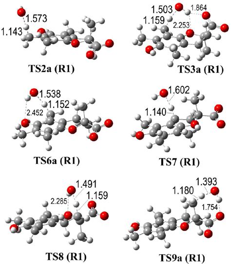 Figure From A Physicochemical Examination Of The Free Radical