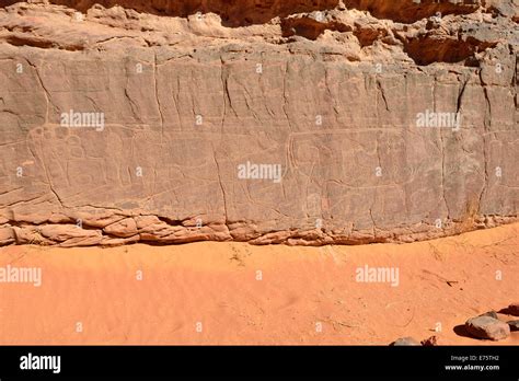 Rock grabado de vacas arte rupestre del Neolítico Tadrart Tassili N