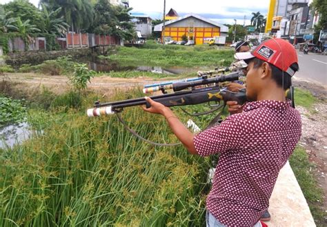 Berburu Ikan Di Sungai Veteran Dengan Senapan Angin Jejakrekam