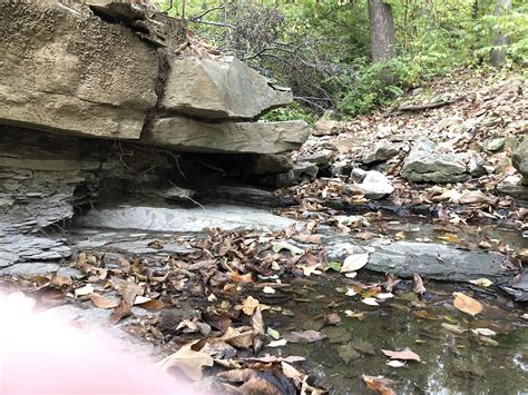 “It just vanished in thin air!!!” Was all I could say while looking for