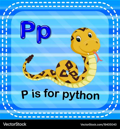 Flashcard Letter P Is For Python Royalty Free Vector Image