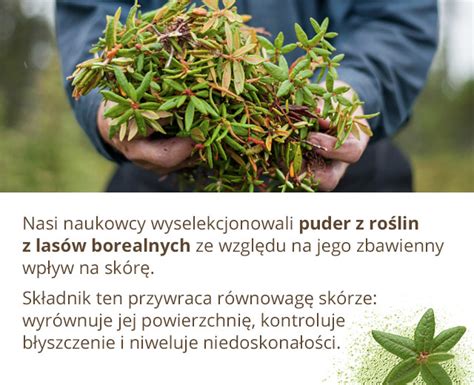 Sebo vegetal