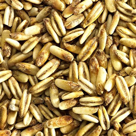 Simpsons Golden Naked Oats Ebc Per Kg Moonta Homebrew Supplies