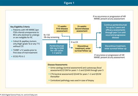 Bcg Unresponsive Non Muscle Invasive Bladder Cancer Immune Checkpoint