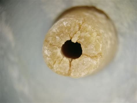 Новая порция фотографий на мобильный микроскоп с АлиЭкспресс | Пикабу