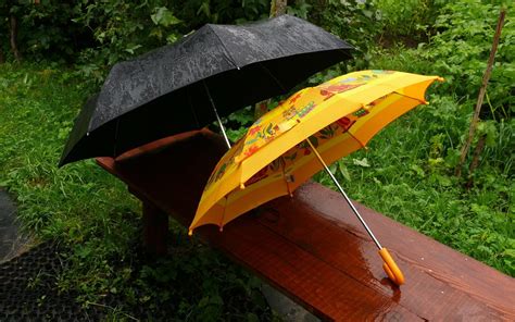 Umbrella HD Wallpaper | Background Image | 1920x1200 | ID:420872 ...
