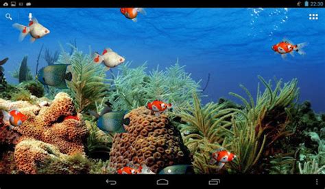 Live aquarium screensaver for Android - Free Download