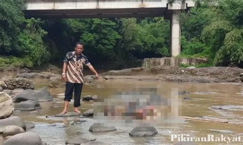 Ditemukan Mayat Di Bawah Jembatan Tol Cipularang Dalam Kondisi Mengenaskan