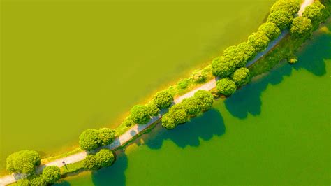 Green Landscape Aerial View Wallpapers HD Wallpapers