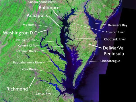 The Chesapeake Bay — The Wild Focus Project