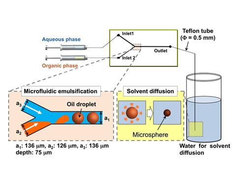 Schematic Of The Procedure To Fabricate Monodisperse Pla Microspheres Download Scientific