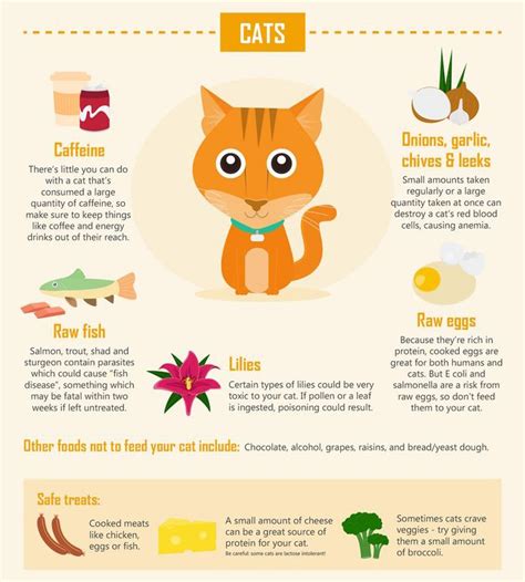 Printable List Of Toxic Foods For Cats